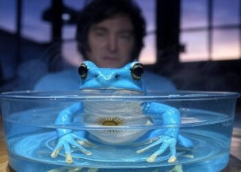 LA TEORÍA DE LA RANA