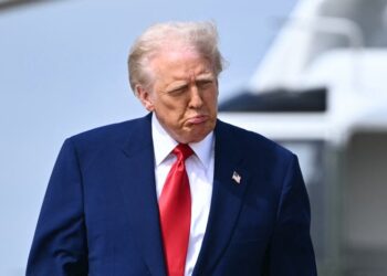 Elefante Trump en el bazar