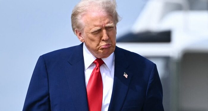 Elefante Trump en el bazar