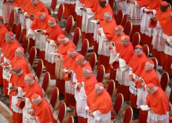 El cónclave y la internacional reaccionaria